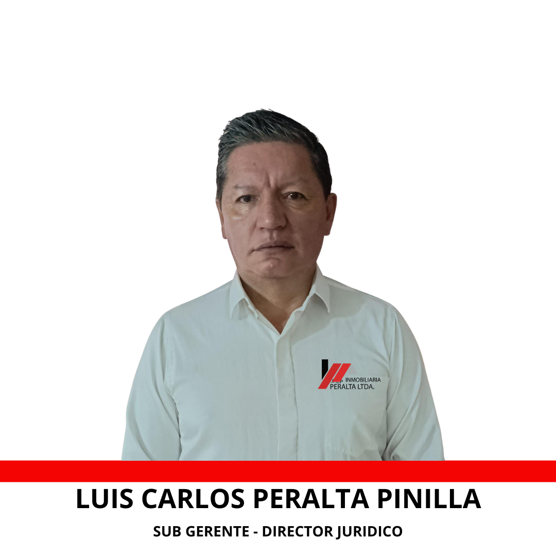 LUIS CARLO S PERALTA